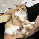 디알메디테크 이미지