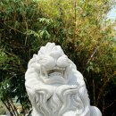 비밀의 사원 이미지