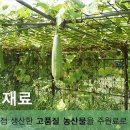 놀러와농장 이미지