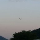 박월 이미지