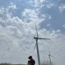 전람회풍경 태양광발전소 | 영화속 한 장면 같은 전남영암 여행지 풍력발전소 힐링하기 좋은 곳
