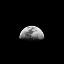 문샷(MOONSHOT)
