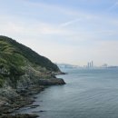 구포산곰장어.회
