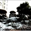 은혜병원 이미지