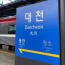 윤씨네차고 | [대천 여행] 보령 머드축제 대천 해수욕장 여행🚞 보령 머드축제 후기