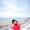 울진오징어사랑마을영어조합법인 | 울진바다 망양해변 오징어~