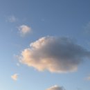 제주일상 | 일상 🍀 ( 짧은 제주 레드버튼 후기 포함 ) !