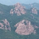 심쿵돼지 이미지