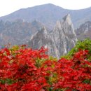 소금강모텔 이미지