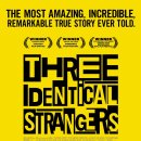 법률사무소해안 | [넷플릭스] 어느 일란성 세 쌍둥이의 재회(Three Identical Strangers) 리뷰 / 후기 / 약스포 / 추천