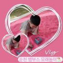 [55개월 하쥐일기] 순천 뱀부스 야외 모래 놀이터 / 키즈카페