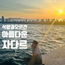 도시속바다 | 세계에서 가장 아름다운 석양의 도시, 크로아티아 자다르｜바다오르간 후기