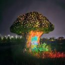 희망누리 | 경기도 파주 야경 명소 임진각 수풀누리 공원 야간 볼거리