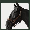 JUST DOG | 승마인의 코스트코, Amiko and friends 아미코앤프렌즈 할인코드