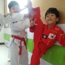 용인대 I 태권도장 이미지