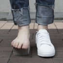733 이미지