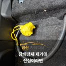 차량 담배 냄새를 제거하는 방법 분당 정자동 금산카바디샵 한진아파트 신화아파트 라이프아파트