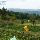 완산-154 이미지