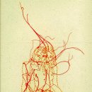 아메르(AMER) 이미지