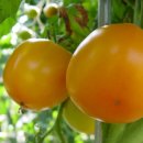 간식꺼리 이미지