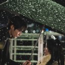 선재 이미지