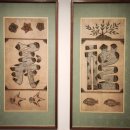 전통회화의 아름다움 한국미술이야기 | <장엄과 창의 : 한국 민화의 변주>/ 갤러리 현대/ 서울 삼청동/ ~26.2.28까지