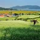 농부의 아침 이미지