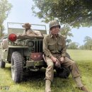 제2차 세계대전 미군 29 보병사단(29th Infantry Division) 스토리