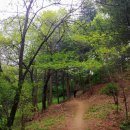 고성산 조망 이미지