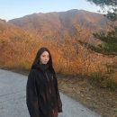 용아농장 | #233 간월재 유모차 끌고 11월 마지막억새를 즐기러