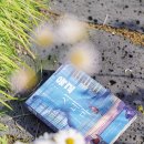 씨네21 추천도서 &lt;육교 시네마&gt;