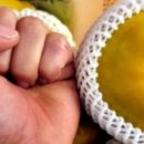 원하농장 이미지