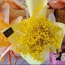 블랑-메이 이미지