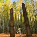 땅뫼산산책로변 공중화장실 이미지