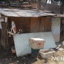 강남-156 이미지