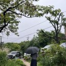 커피숍 해밀 이미지