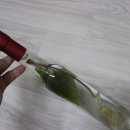명절선물로 산양삼 담금주 키트 효도선물로 굿!