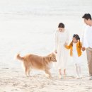 [5060]유튜브 크리에이터 전문가 이미지