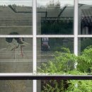 고산윤선도유물전시관(휴관) 이미지