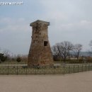 신라 삼국통일의 화랑정신 이미지