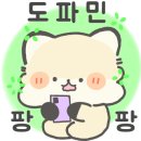 심원장어 이미지