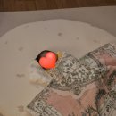 에이플러스세탁 | 서울 강서구 에이플러스 산모케어 - 산후도우미/산후관리사 내돈내산 추천후기 (tf.신순덕 관리사님)