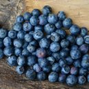 242-운정3-242 이미지