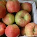 창공농장 이미지