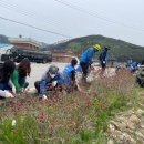 운봉읍 산덕마을 이미지