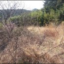 경남환경공인중개사사무소 이미지