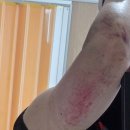 [3일차, 구미~수안보, 140km 아들과 함께 하는 국토 종주 자전거 여행(부산 ~인천 도착, 약 633km) - 3...