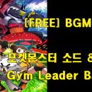 Leader Gym 이미지