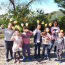 청운오토캠핑장 이미지