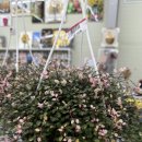 하나할인마트 이미지